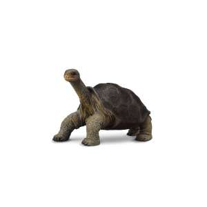 Collecta Pinta Island Tortoise Figure, realistic animal figurine - Collecta