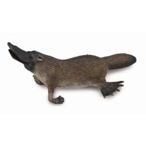 Collecta Platypus Animal Figure, realistic, detailed, hand-painted, educational toy, for kids, play, learning, 3 years and up - Collecta