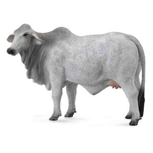 Collecta Brahma Cow Figurine, realistic model of a grey Brahman cow, perfect for farm animal collections - Collecta Figure