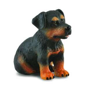 Collecta Rottweiler puppy figurine, realistic black and tan dog toy - Collecta