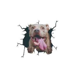 Стикер за стена с куче American Pitbull Terrier, 3D ефект, Original Deals, 30x30 cm - Декорация