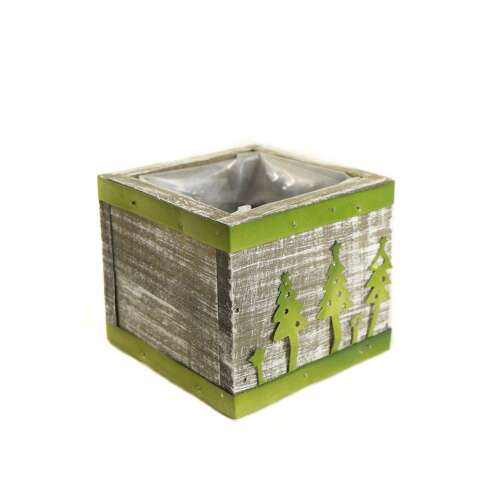 Green Christmas tree design wooden box with a plastic insert, 10 cm