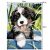 Paint by Numbers Kit, with Wooden Frame, 30×40 cm, Dog Design 89941723