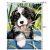 Paint by Numbers Kit, with Wooden Frame, 30×40 cm, Dog Design 89941723
