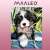 Paint by numbers kit, cute puppy in a box, 40x30cm, Maaleo brand