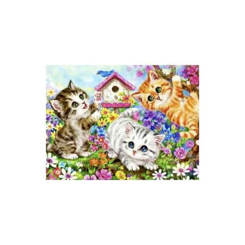 Paint by Numbers Kit with Wooden Frame, 40×50 cm, Kitten Design