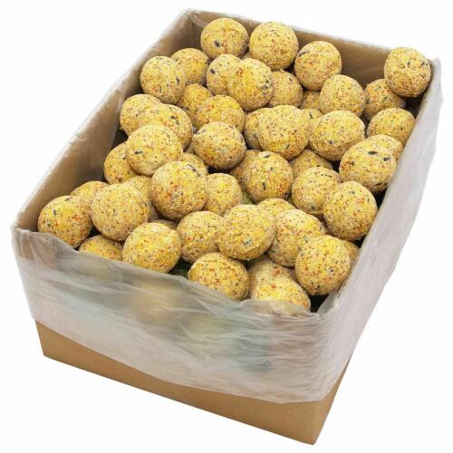 vidaXL Madáreleség Energiagolyó - 200 db x 90g 178200929 - Madáreleség