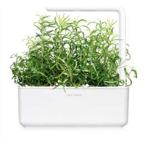 Smart Garden 3 beltéri fűszerkert rozmaringgal - Növénytermesztési kellék