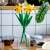 LEGO® Creator Daffodils 40747 105207921