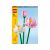 LEGO® Iconic Lotus Flowers 40647 90673876