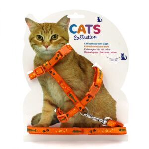 Orange Cat Harness 120x1cm 131508835 - Pet Harness