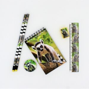 Wild Lemur Stationery Set - 6 pieces, unpackaged, top view - Writing Tool Set