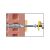 CELO FL Műanyag Dübel - 8x80 mm - 10 db 90722227