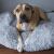 Dog relaxing in a Springos 70cm Grey Plush Pet Bed
