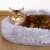 Cat lying in a gray Springos donut pet bed