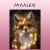 MAALEO Paint by Numbers Kit - Fox with Lights