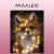 MAALEO Paint by Numbers Kit - Fox with Lights