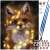 Paint by numbers kit, fox with lights, 40x50cm, Maaleo