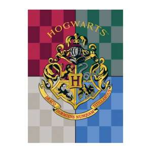 Harry Potter polár takaró Hogwarts 100x140cm 50280889 Pléd