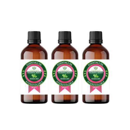 3 pack of Fountain of Youth by DellArt Aromatic Mint Hydrosoluble Essential Oils, 3 x 30 ml