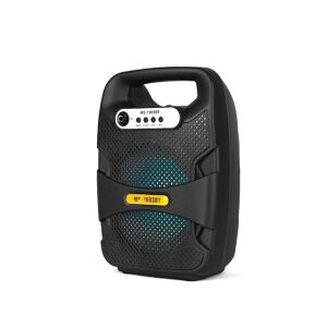 GYSWER 6,5 hüvelykes hordozható Bluetooth hangszóró zenehallgatáshoz - Audio