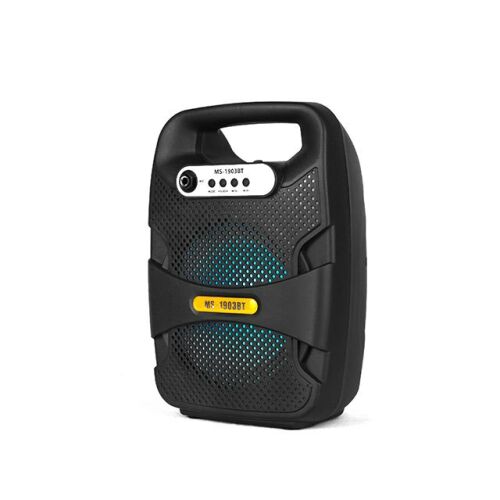 GYSWER 6,5 hüvelykes hordozható Bluetooth hangszóró zenehallgatáshoz