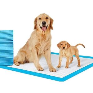 Welora - Kutyapisi Szőnyeg - 20 db - 60x90 cm