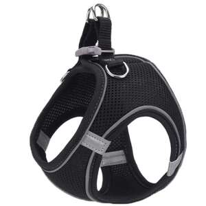 AniOne Kutyahám - XXXS - Fekete - Fényvisszaverő