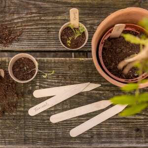 Fa növényjelölők használatban, paradicsom és bazsalikom növények címkézése cserépben - Palántanevelő cserép