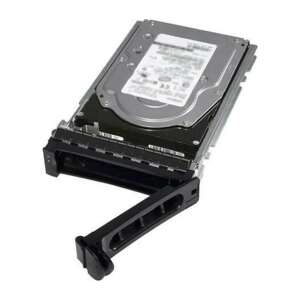 Dell 12TB 161-BCJX NL-SAS 3.5" server hard drive with hot-plug feature - Dell Internal Hard Drife