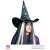 Čarodejnícky klobúk WIDMANN 5151S s pavučinovým vzorom, doplnok k halloweenskému kostýmu