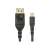 StarTech.com DP14MDPMM2MB DisplayPort kábel 2 M Mini DisplayPort Fekete (DP14MDPMM2MB) 91187423