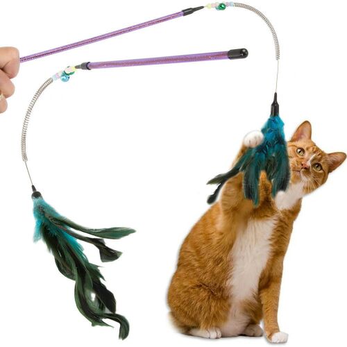 Cat toy feather wand teaser with playful cat