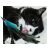 Cat Fishing Rod Feather Teaser Toy: The Ultimatum Toy for Your Cat! - Material: Plastic, Colorful Feathers - Code: 19424 125404909