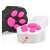 Cat Laser Light Toy Paw Pointer 138446466