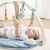 Nattou Felix and Leo Baby Play Gym with Wooden Toy Bar and Plush Toys