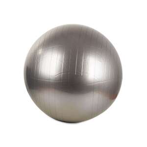 Gymnastic ball with pump, 65 cm, Grey