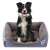 Gray dog bed with a black and white border collie dog sitting in it