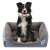 Gray dog bed with a black and white border collie dog sitting in it