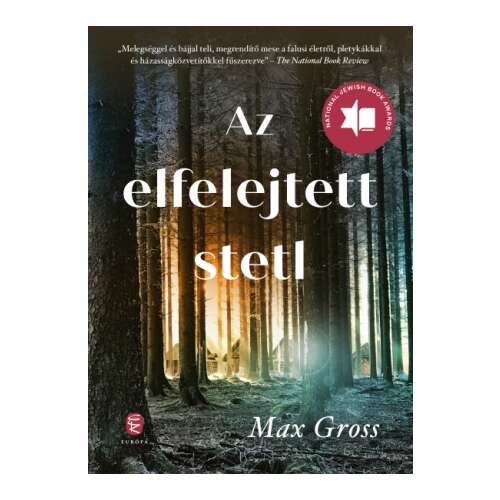 Az elfelejtett stetl könyvborító Max Gross-tól - Szépirodalmi könyv és regény