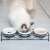 Cat eating from Navaris ceramic pet bowl set with metal stand, 3 bowls, 320ml capacity, black and white