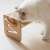Cat eating from Navaris elevated pet feeder stand with 2 porcelain bowls