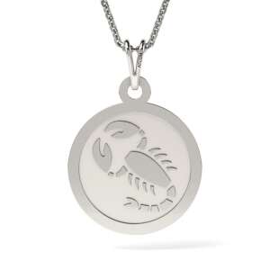 Сребърен висулка със скорпион, сребро 925, Висулка Talisman Scorpion - Дамско колие