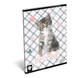 Lizzycard Cicás Füzet - A5