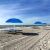 Pepita blue beach umbrellas on a sandy beach