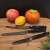 Carl Schmidt Sohn KOCH SYSTEME PREMIUM, tomato and vegetable knife, forged stainless steel, 13 cm, set of 3
