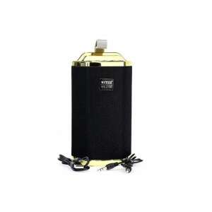 Wster WS-3130 portable Bluetooth speaker, black and gold - Nonbrand Bluetooth Speaker