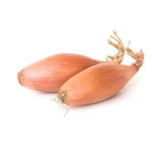 Tavaszi Sonkahagyma salotta hagyma, 1 kg-os csomag, friss tavaszi hagyma - Csíramag