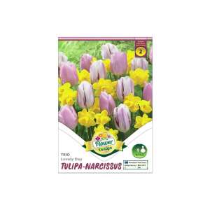 Tulipán és Nárcisz 'Lovely Day' Trio Virághagymák - 9 db/csomag - Csíramag