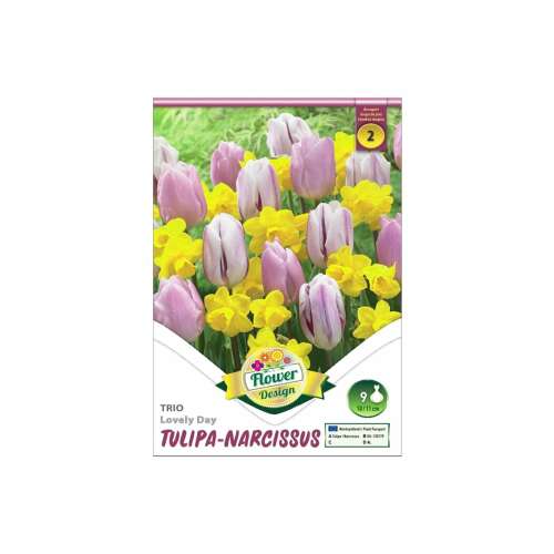 Tulipán és Nárcisz 'Lovely Day' Trio Virághagymák - 9 db/csomag
